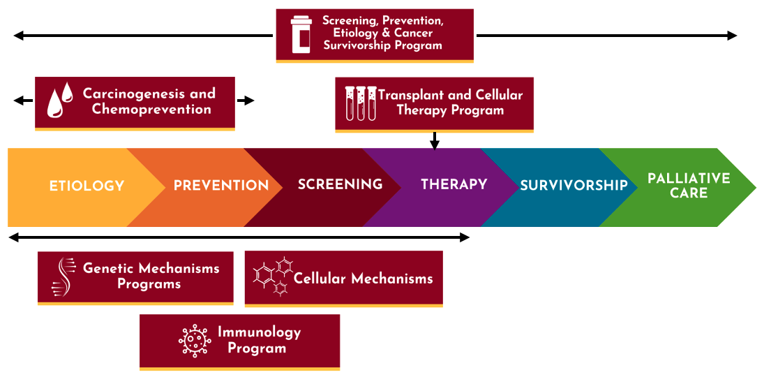 Cancer continuum with research programs slotted into each area of the continuum.