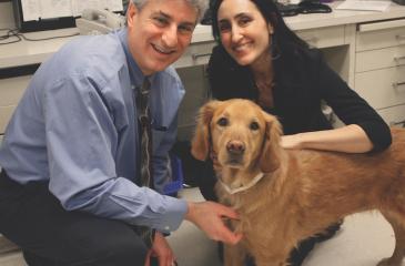 Teaming up for treatment: MCC/CVM collab advances cancer research in humans  and animals | Masonic Cancer Center