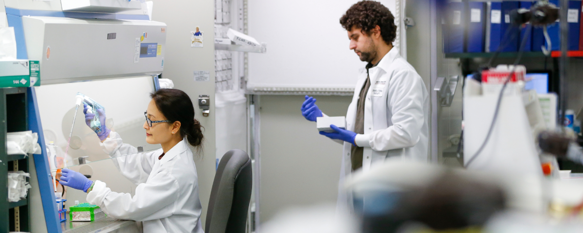 Two people working in a lab